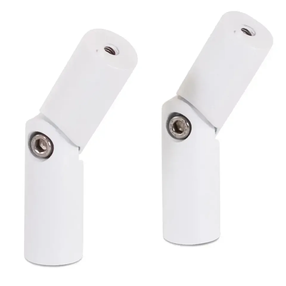 Asta articolata White — 1/2